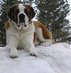 therogue's Avatar