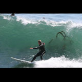 Surfer's Avatar