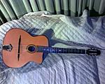My Django guitar. This is one of my main "around the house" guitars.